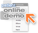 Online Demo