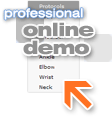 Online Demo